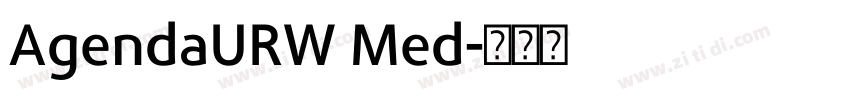 AgendaURW Med字体转换